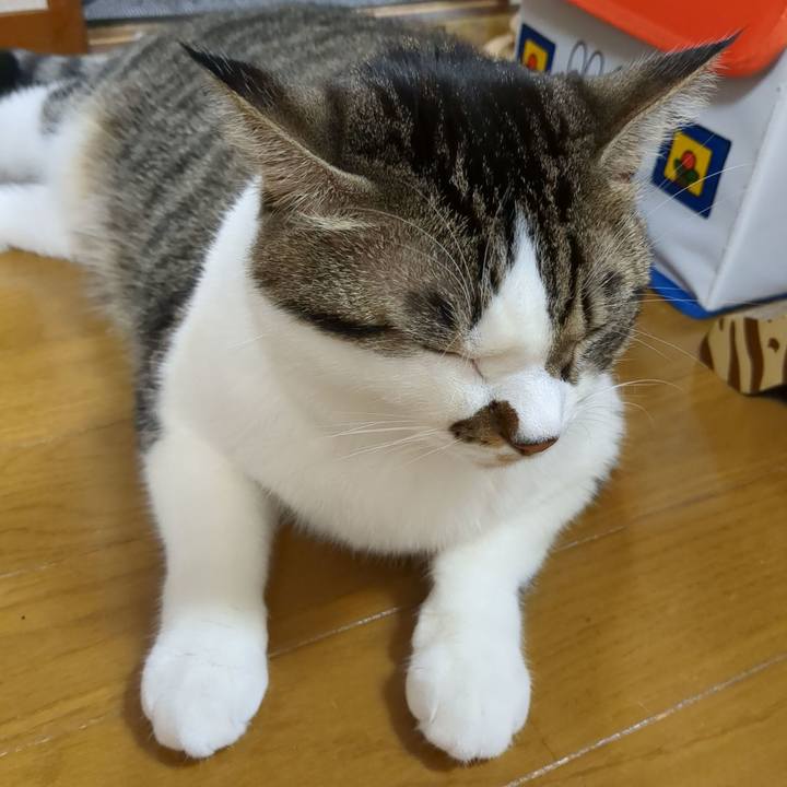 7a893fd0 8208 44f5 ab65 a1d1dd767792 1666826081707