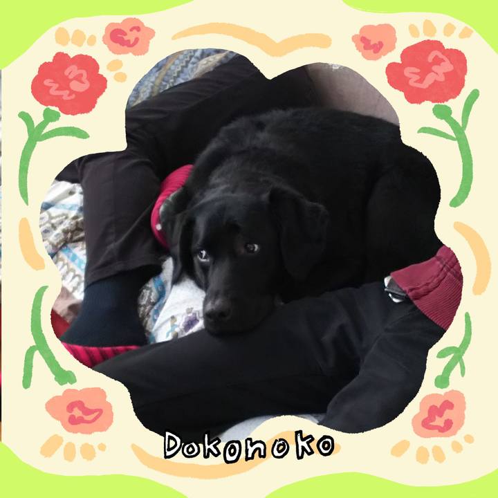 7a8943f0 7bb3 4ac1 b4f3 0a1ead37916f 1715443580029