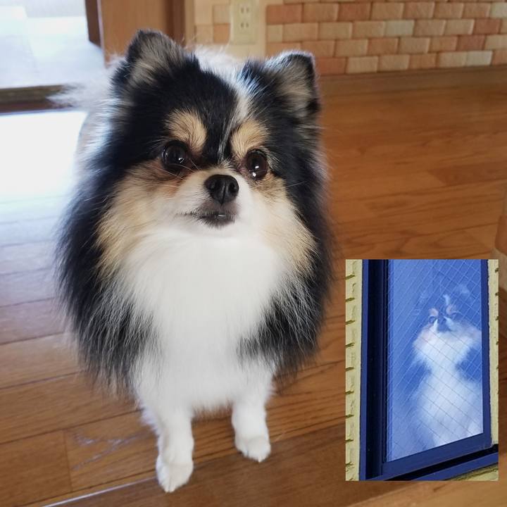 7a898ac1 e90b 497a 9022 98fc9474154d 1539040391781