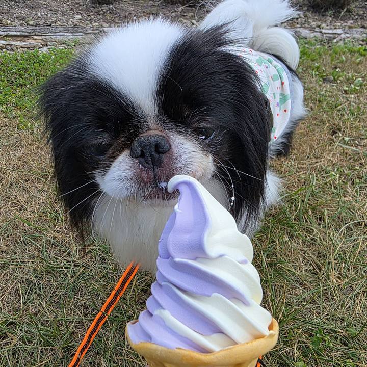 7a89fbfa 7b67 4e6e 8ea7 0c2ac224498e 1753826153994