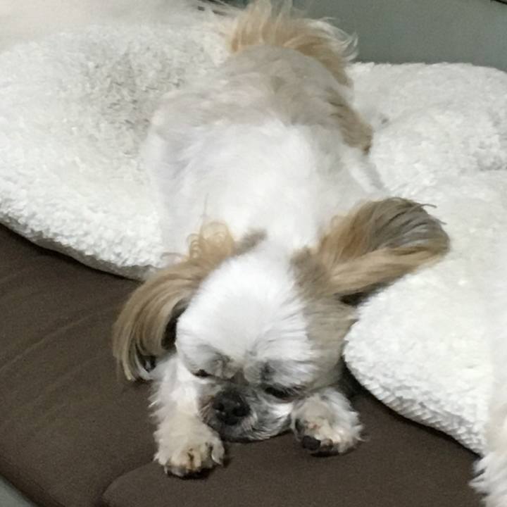 7a8a02af c056 4040 8a61 335c14a7b0dc 1617093446911