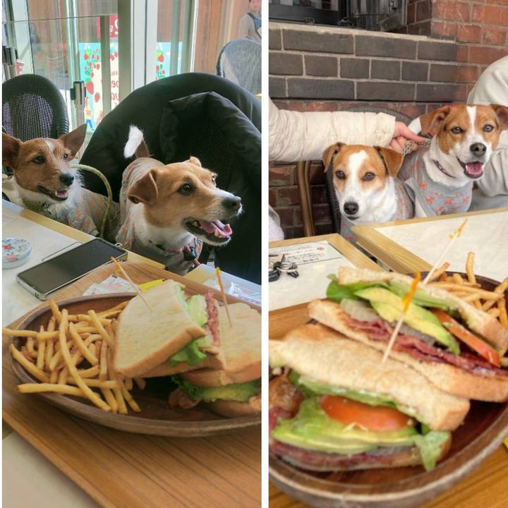 7a8a3fac 03cb 411b 83ab 669e8ec9bda5 1770889276930