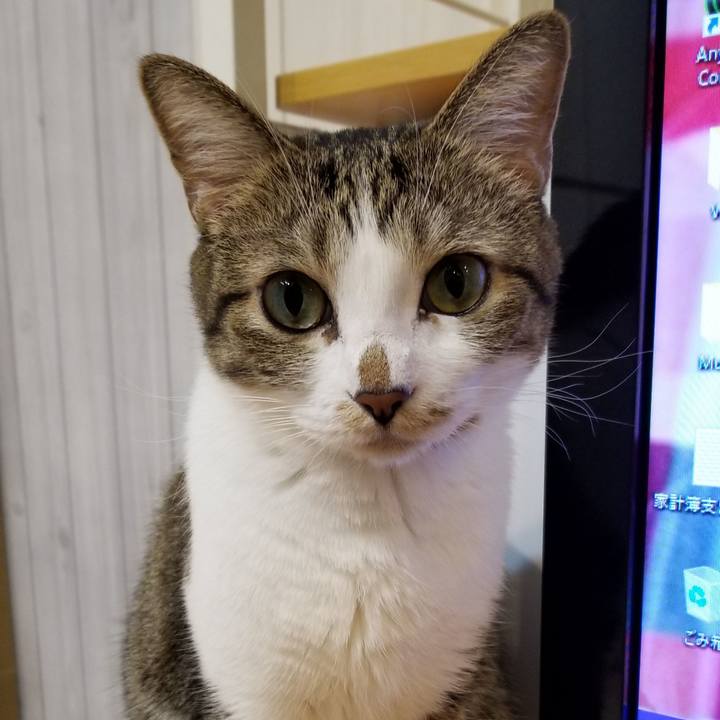 7a8a4052 475c 47e5 bc74 ef2ed953db69 1546263959177