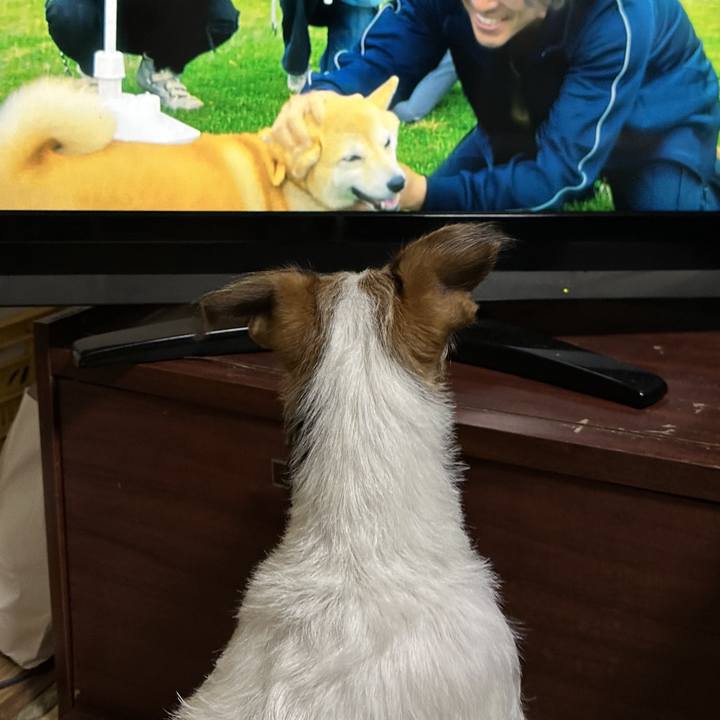 7a8a93db 6a59 4d97 b295 edbddbb7af53 1761656867593