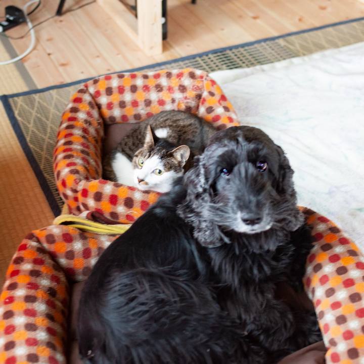 7a8ab4f9 f298 4b55 ad02 ad6db0d356ca 1549108290090