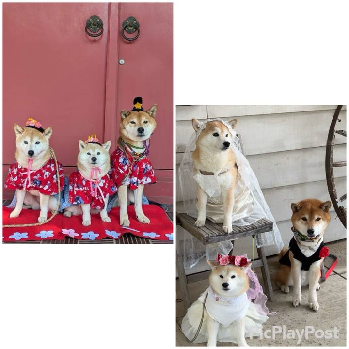 7a8addd2 9896 4f61 a899 03426f7fe944 1740944629053