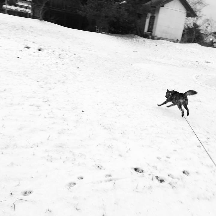 7a8afb79 0277 4176 ae01 2902b5d9e46a 1513206403321