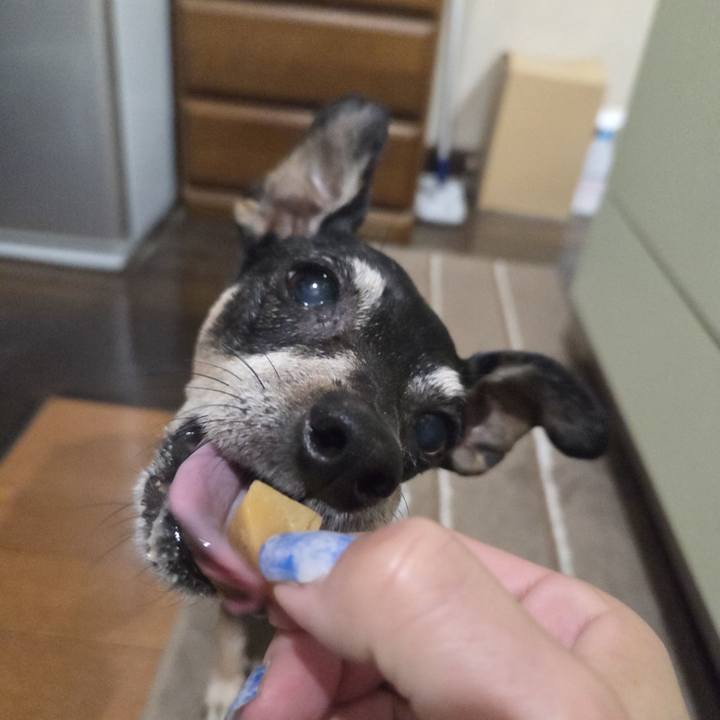 7a8b128b b1b7 4626 a252 30eb1590ee9f 1752003513298