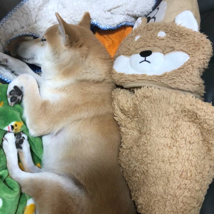 7a8b4762 8672 4e69 b054 94d400705d85 1578954203590