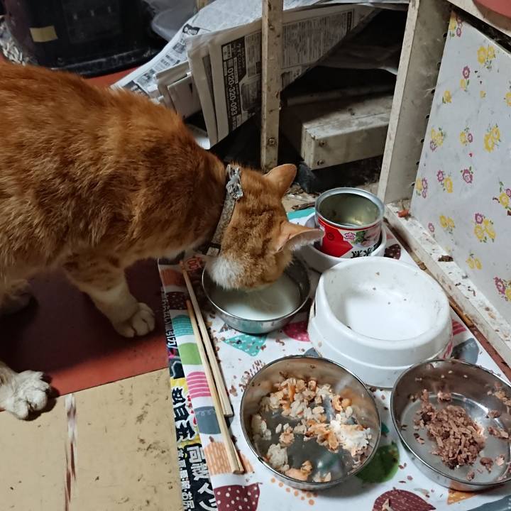 7a8b5a24 bead 4479 b9e7 6352f54e217e 1590270465473