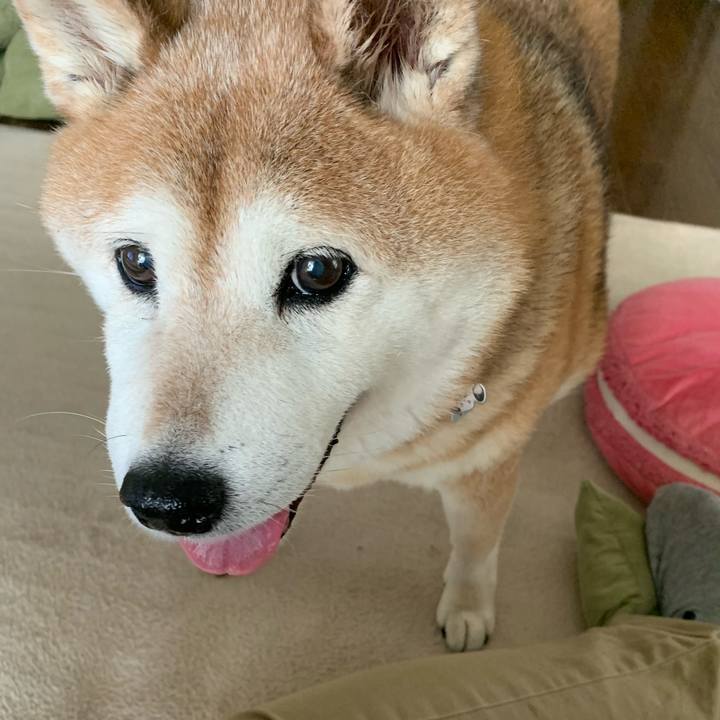 7a8b791b 64d5 4dc9 b1a1 10fcf961dbc9 1590617746089