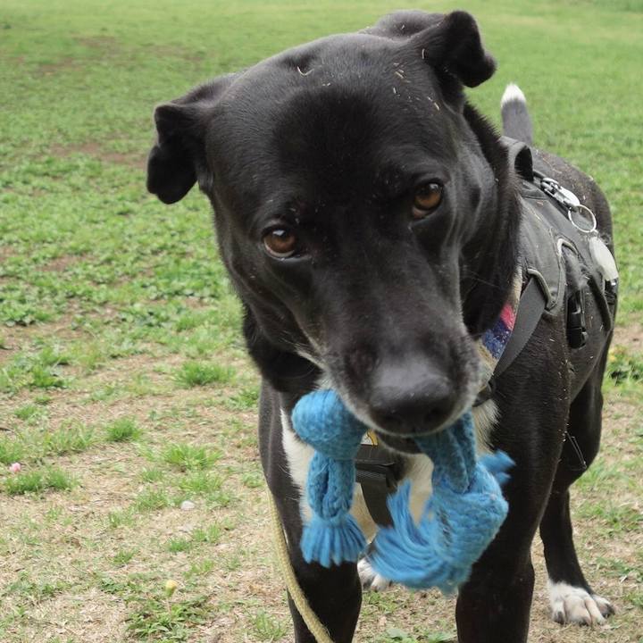 7a8b7d2d c38e 4aca 851a bfb309e8f9f1 1650155257985