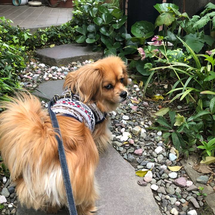 7a8b90cc 6750 4f53 8f22 c4a4c07c2310 1555017763130