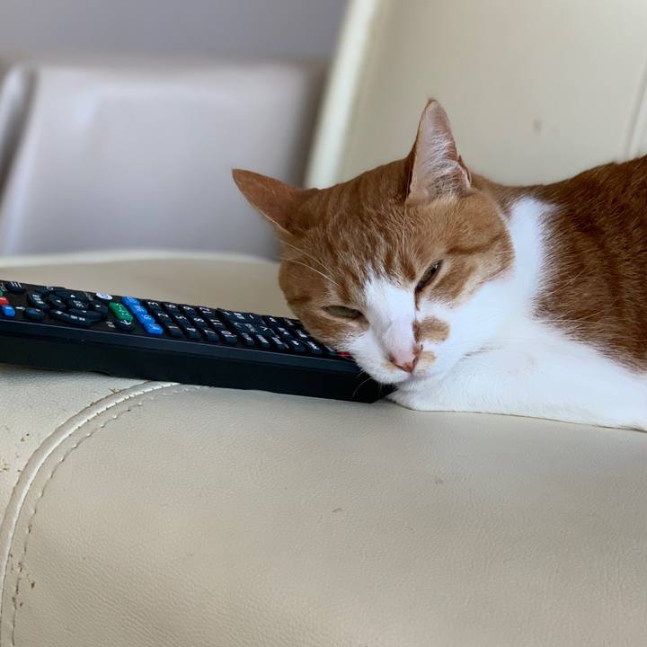 7a8bc45c 819e 4487 900d e320bfc93eea 1632292133500