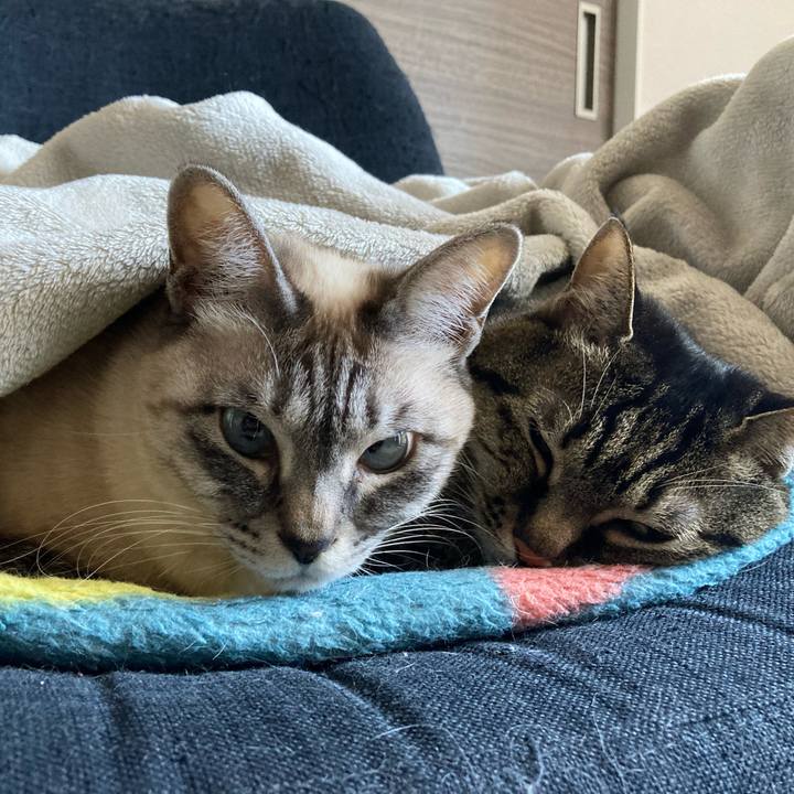 7a8be00a 0a17 4b07 a8b2 1908b4c1c48e 1710983898088