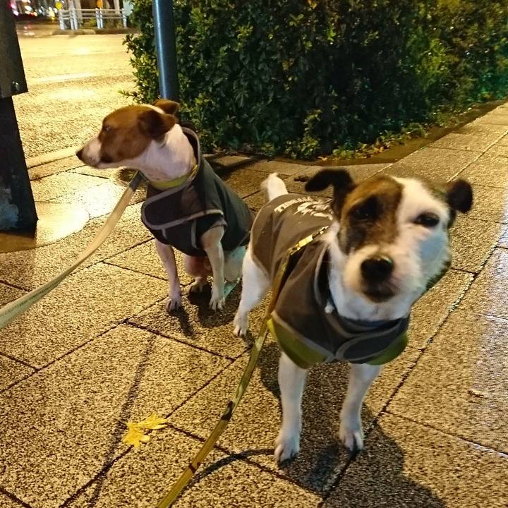 7a8c0172 e78e 46d9 9ce8 75eb0fbd1f91 1579348892724