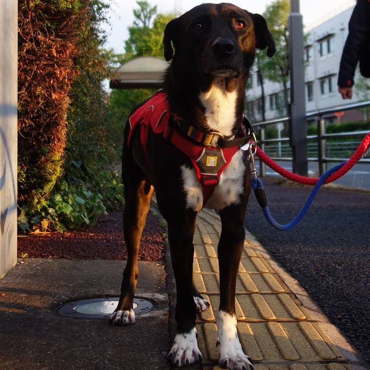 7a8c496b 3f46 4ea3 8a0f 74694339a877 1587204915654