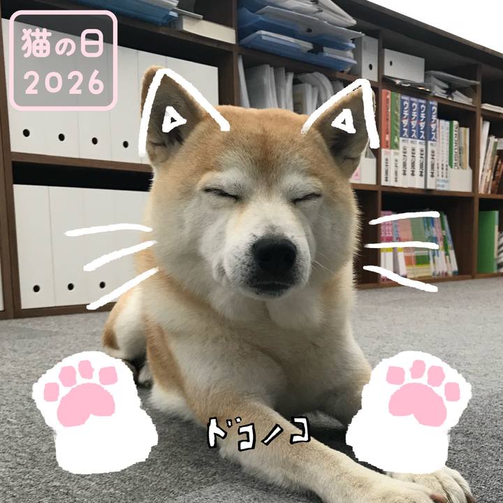 7a8c6ce2 833a 4959 94d6 16f6967f5e3e 1771708816885