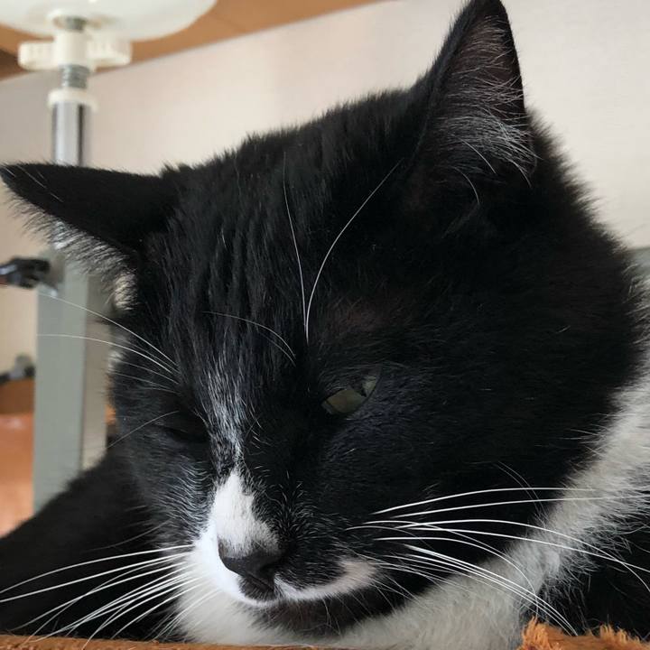 7a8c79aa e033 403c b7a4 695f50431fc2 1588994592678