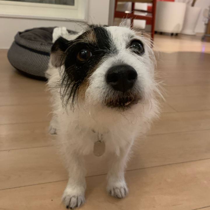 7a8c8cb6 3ab9 4e5d 86b6 82ab77e657ee 1719399278836