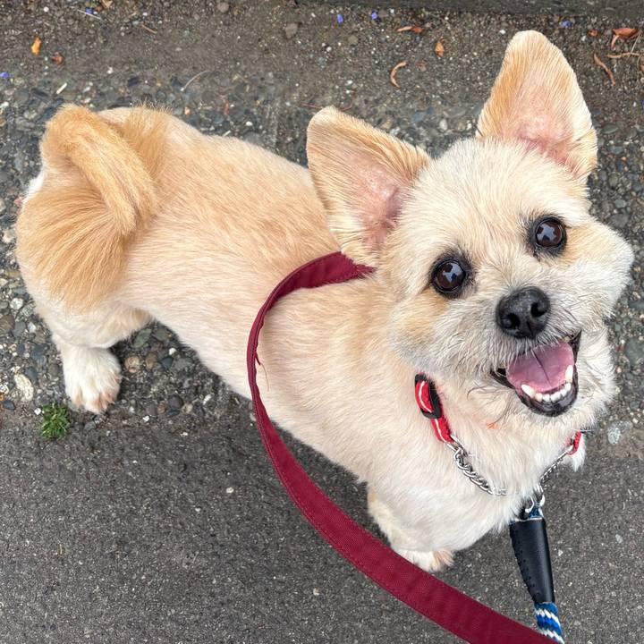 7a8c9918 ee51 44f3 842c 377b76e3ff13 1750058597958