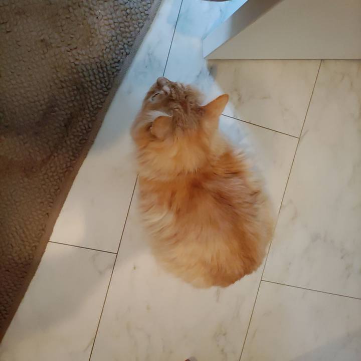 7a8cb461 4796 4a1e beaa 863d147ca2f7 1704162750721