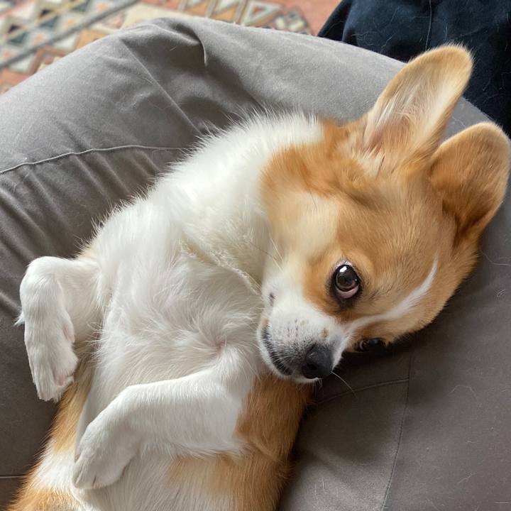 7a8cd1e0 21ee 4835 a815 a38b88994f2b 1597635858150