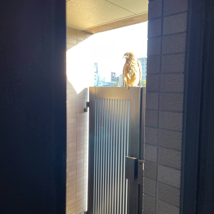 7a8cd65a 04e2 489f 8ce9 ed33fc09a207 1669621813945