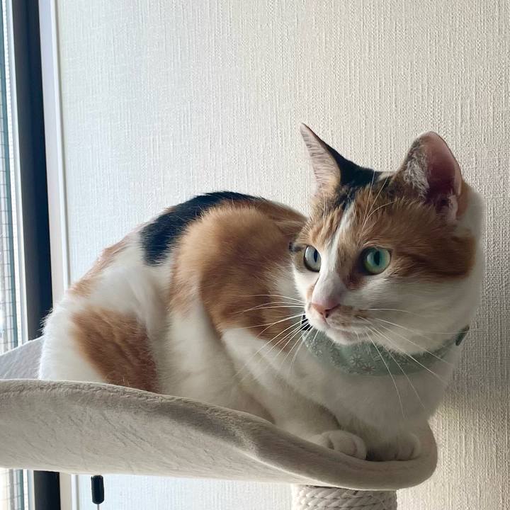 7a8cf348 11ec 46c8 9775 52e7f0f52458 1664408122065