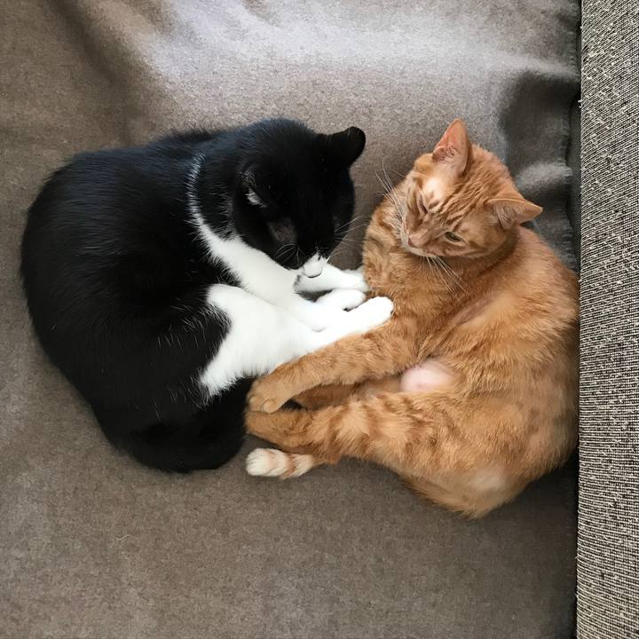 7a8d05b9 1f42 4d1d 9bf1 57ab14e0f95c 1548990979542