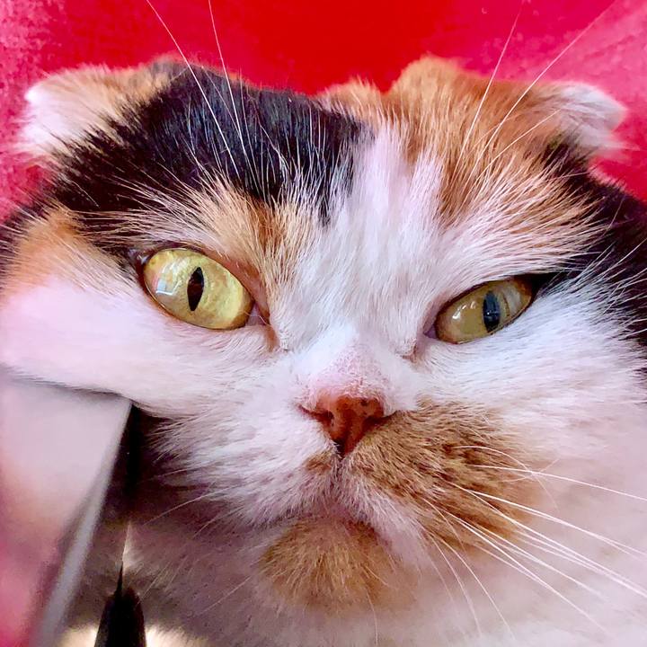 7a8da9ee 11cc 43e5 8896 7ee2d3e71c68 1564786046965