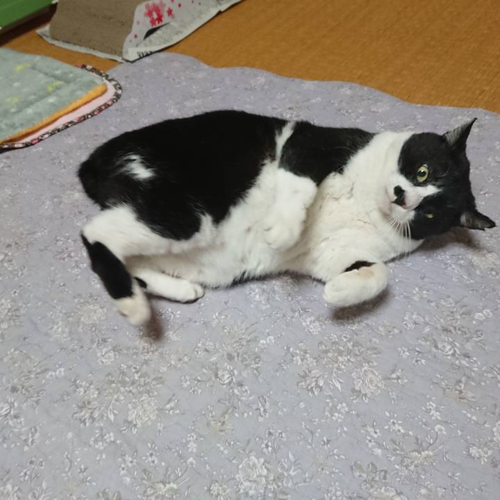 7a8dd73e 3956 4773 a786 9b4aa196bafa 1577138903713