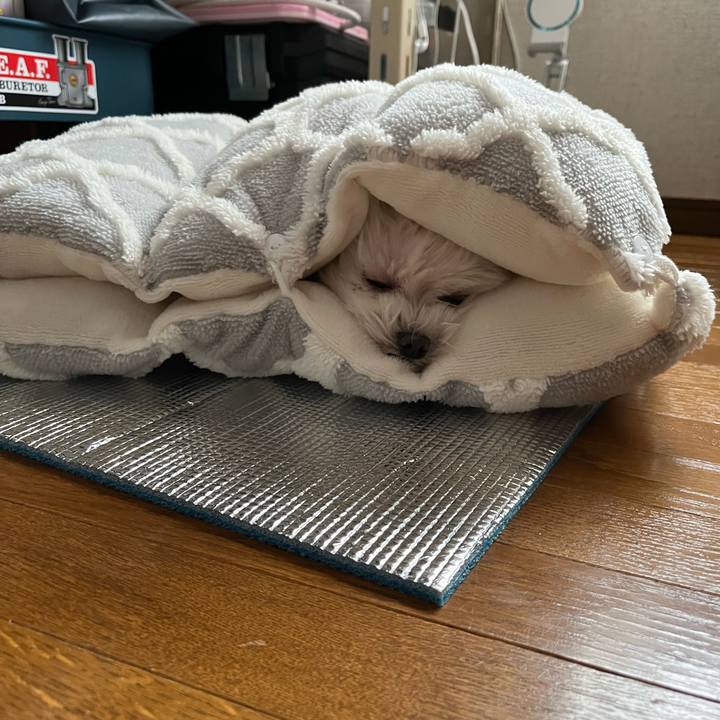 7a8dde05 effd 4c0e 8642 538d1d0f73ed 1699684310179