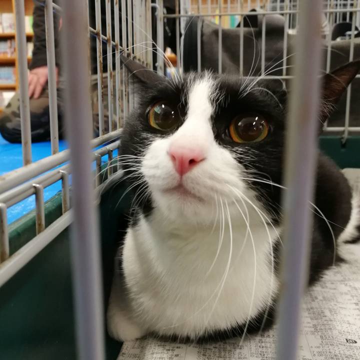 7a8e0b43 0aa2 4943 b8b9 384241ba2e86 1682051011924