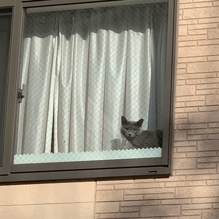 7a8e30b3 0000 4309 9779 9336d83e1b9d 1608699152566