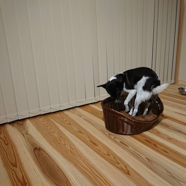 7a8e5578 417e 467e b42e 68a2ffc7131f 1562936690636