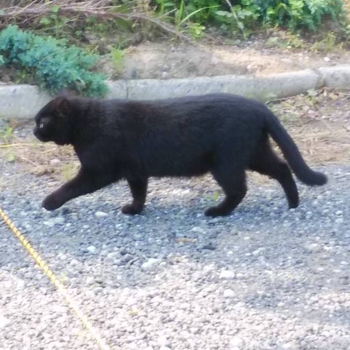 7a8e5dc7 7b4d 4f57 b32c ae528b5bd6aa 1591661105584