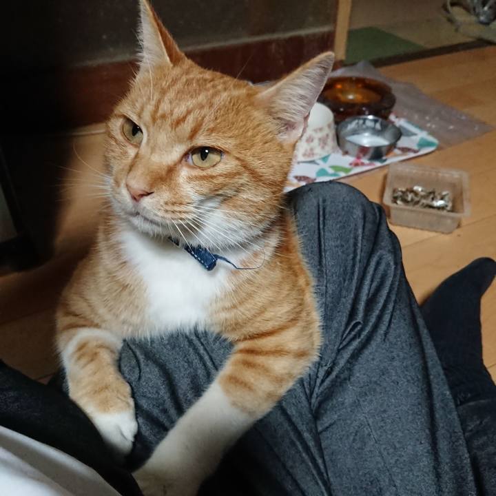 7a8e9ab8 301b 4614 97c4 78a636b4fb8f 1602579590522