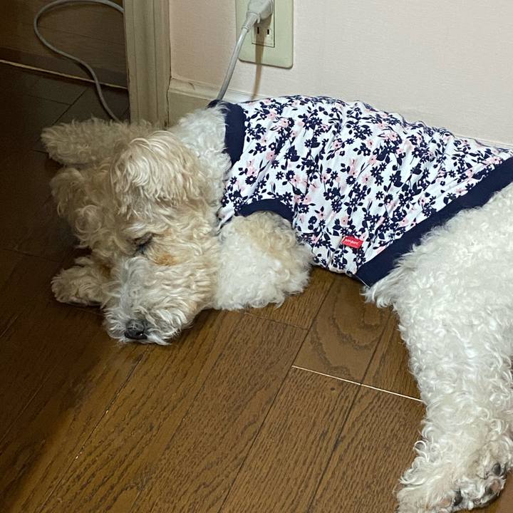 7a8eadab 77d3 4157 8438 fbbee4933130 1589987344140