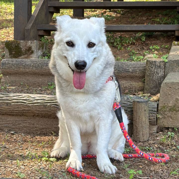 7a8efca2 2a2c 479c af0c 606aa89fcaa5 1753269532834