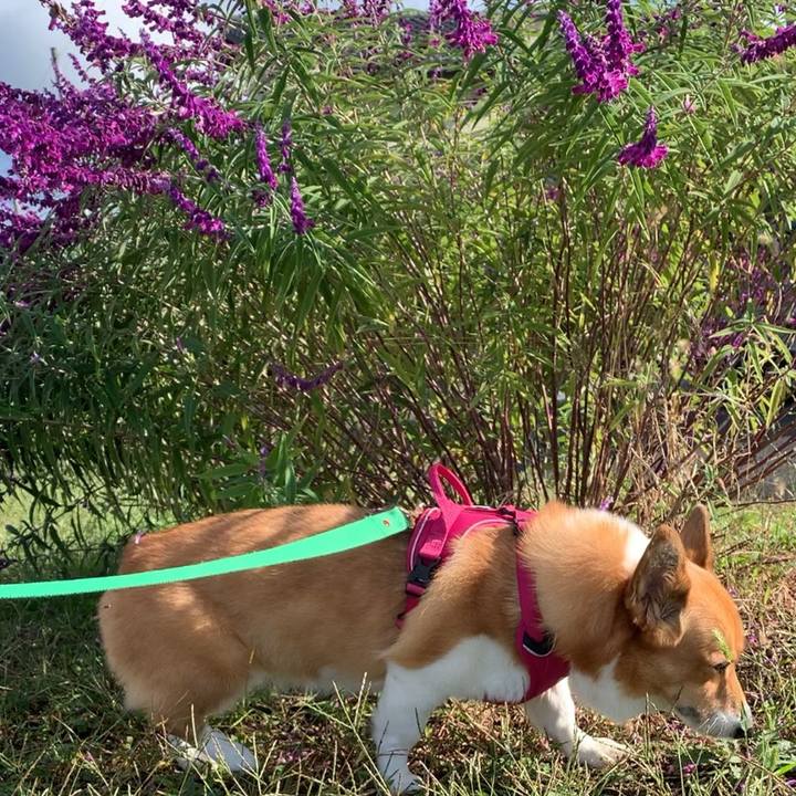 7a8f1a6b 39d2 403c 83e7 2274e7a470c0 1634176486894