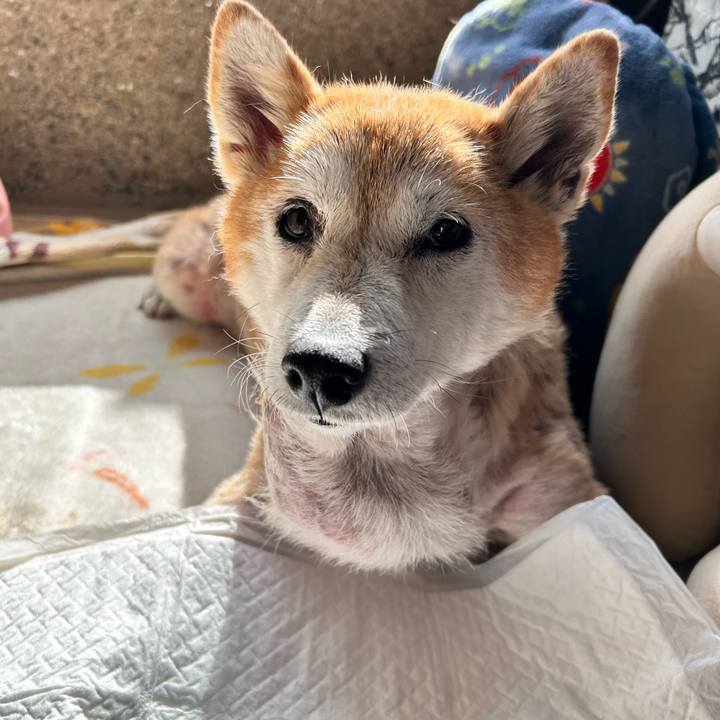 7a8f4f13 310a 4b7a aed8 4d15d18a6603 1763173027393