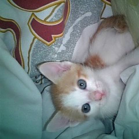 7a8f53c4 8e4c 4323 8990 5b58427e7398 1680028144856