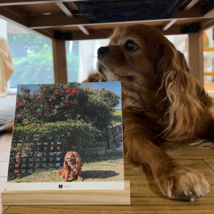 7a8f6408 335c 47aa 9927 699081d4cfda 1714515095921