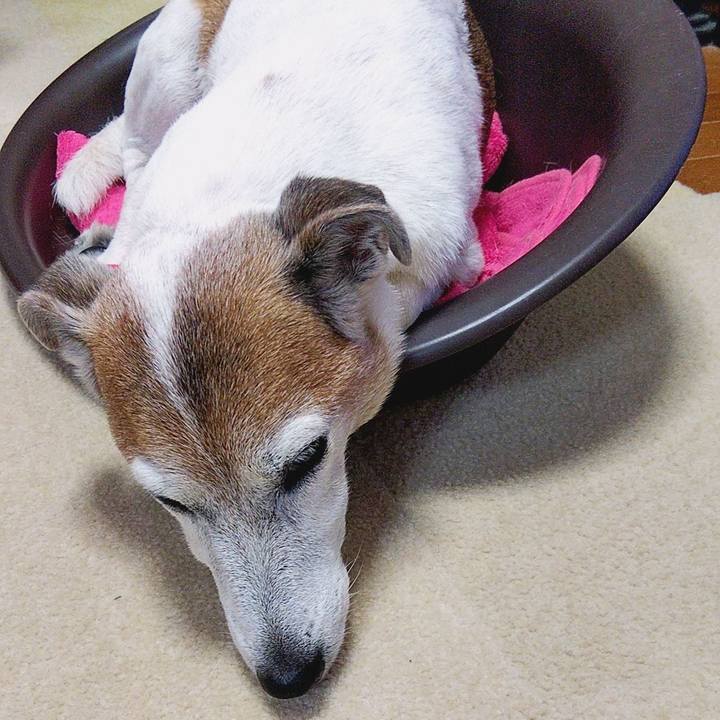 7a8fa319 939c 42e1 ab5e 64530a530fa6 1568639556352