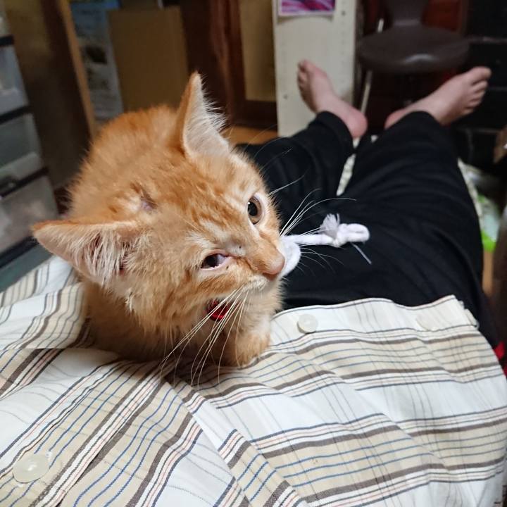 7a9039b9 c22b 41ed 8c06 89fe9bada47b 1628940363588