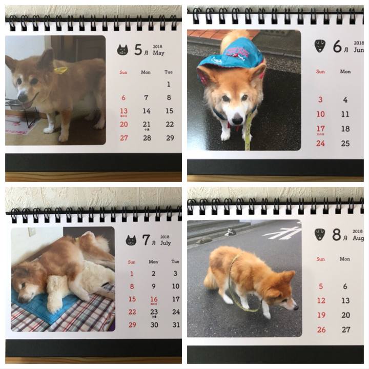 7a90533a e6b5 4ce4 93a5 95fd06cb14ea 1514105102447