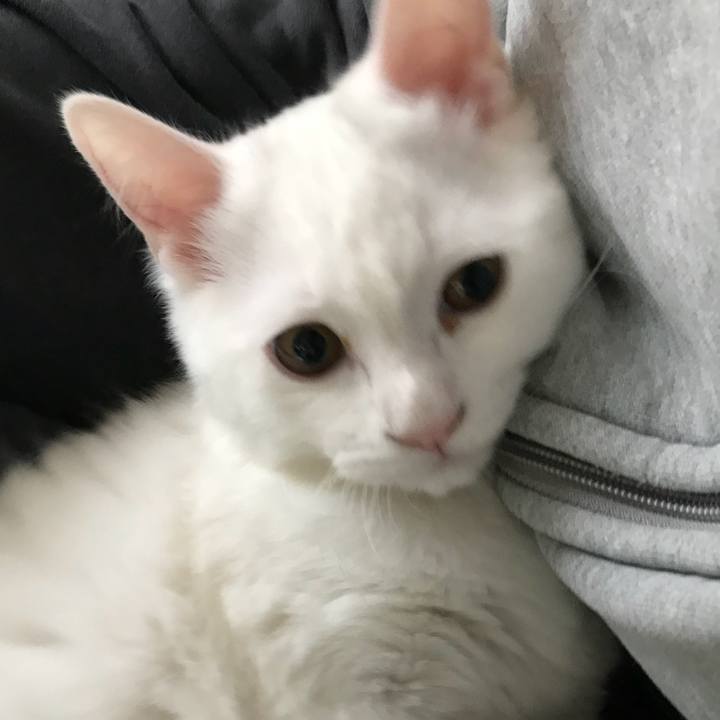 7a90594c 6b56 47b2 a2eb a481eb94a191 1510794202627