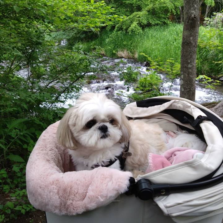 7a905f68 c574 48dc beeb 84cb64e7ebe2 1748302457100