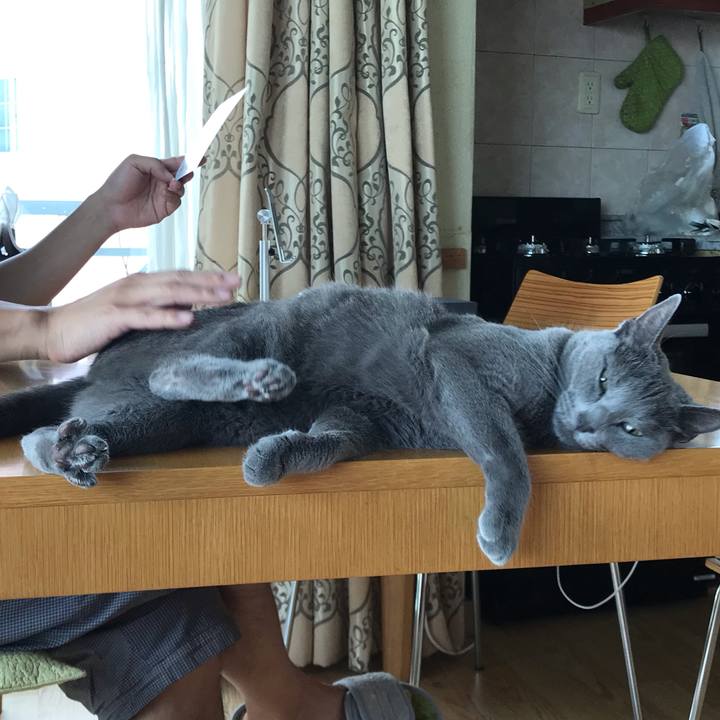 7a90727f 63ba 45ec 92aa 95c9a4f68e5b 1626844305863